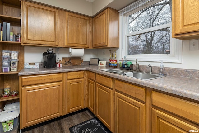 kitchen featuring dark hardwood / wood-style flooring and sink