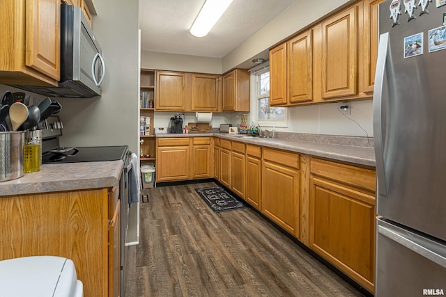 kitchen featuring sink, dark hardwood / wood-style floors, and appliances with stainless steel finishes