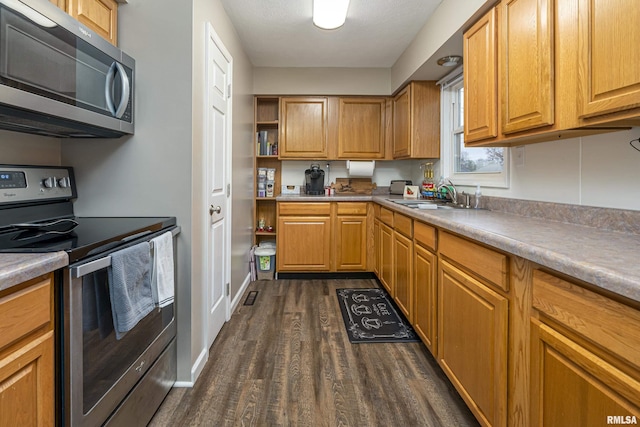 kitchen featuring appliances with stainless steel finishes, dark hardwood / wood-style floors, and sink