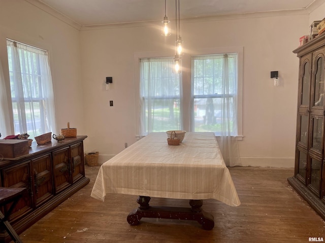 bedroom featuring multiple windows and crown molding