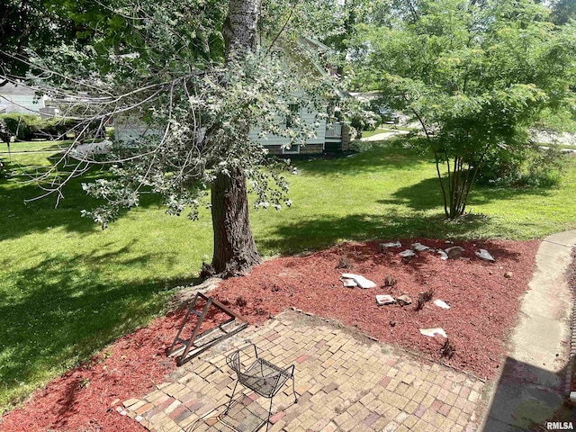 view of yard with a patio