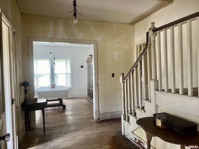 entryway with dark wood-type flooring