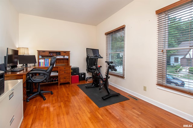 office featuring wood-type flooring