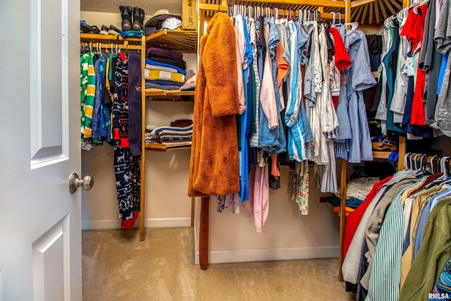 spacious closet featuring light colored carpet