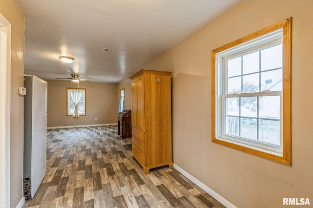 hallway featuring dark wood-type flooring and a healthy amount of sunlight