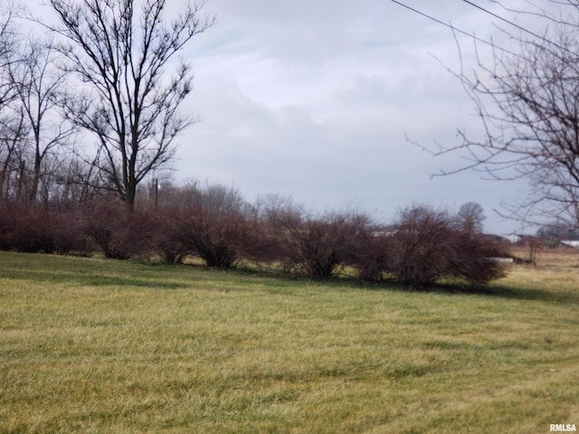 view of yard with a rural view