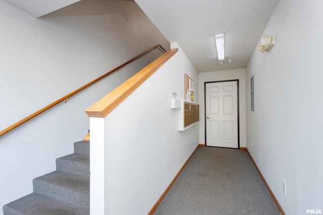 interior space with carpet flooring and electric panel