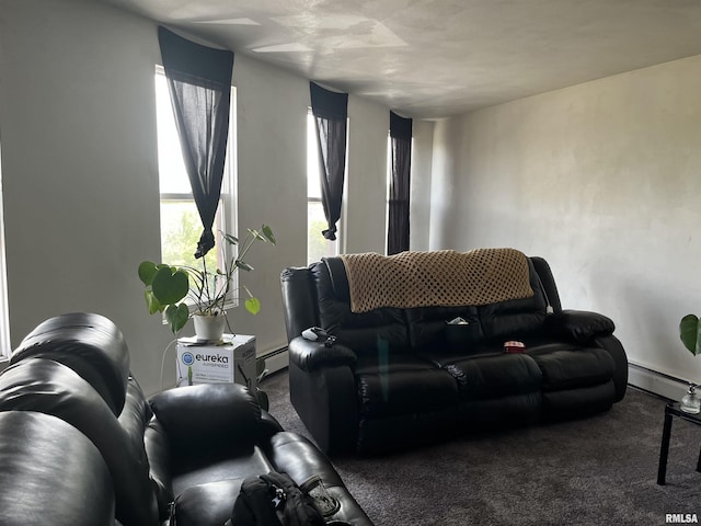 living room featuring baseboard heating and carpet