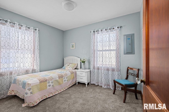 carpeted bedroom with electric panel and multiple windows