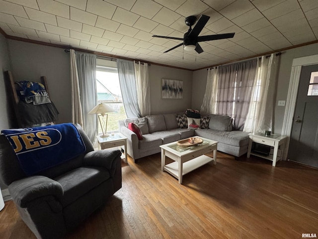 living room with hardwood / wood-style flooring, ceiling fan, and crown molding