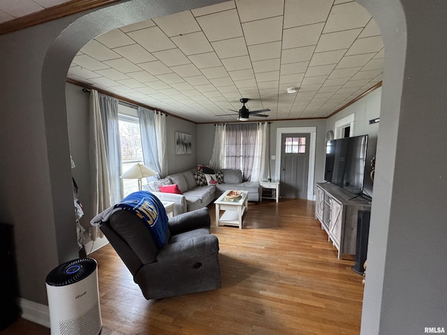 living room featuring hardwood / wood-style floors, ceiling fan, and crown molding