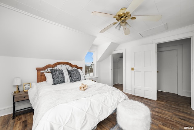 bedroom with ceiling fan, a walk in closet, and dark wood-type flooring