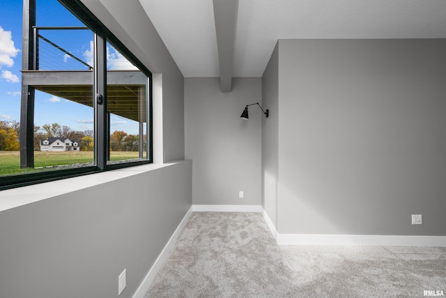 unfurnished room featuring light colored carpet