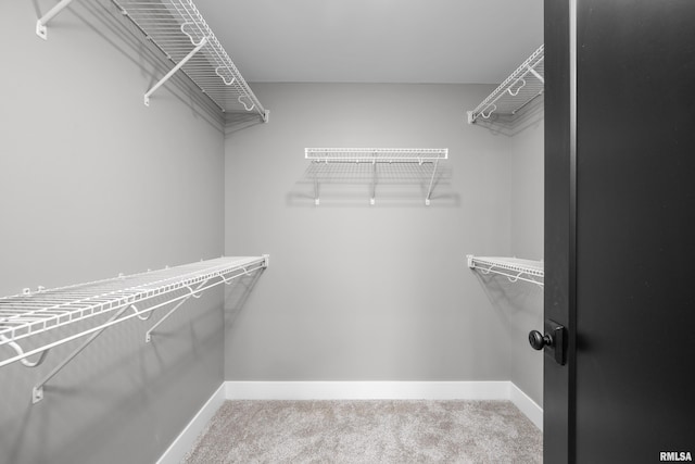 walk in closet with carpet floors