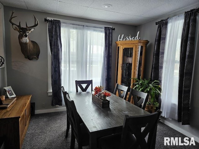 dining space featuring carpet floors