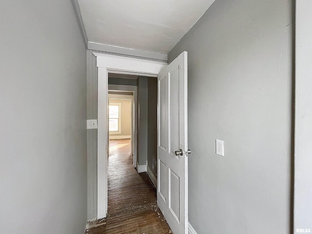 corridor featuring dark hardwood / wood-style floors