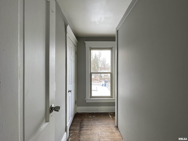 hall with dark wood-type flooring