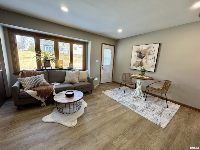 living room with light wood-type flooring