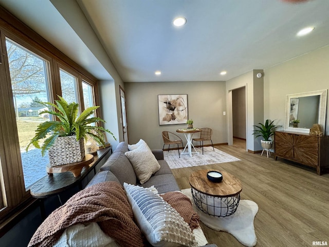 living room with light hardwood / wood-style flooring