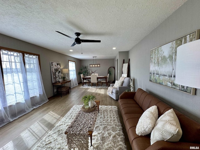 living room featuring ceiling fan, a textured ceiling, and light hardwood / wood-style flooring