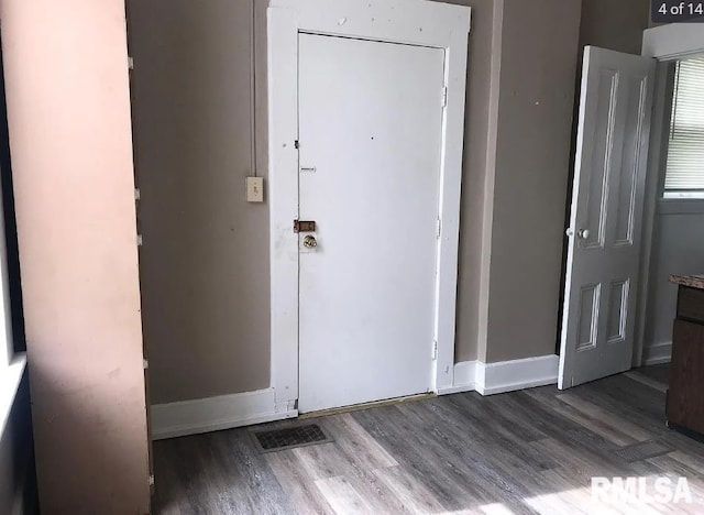 foyer entrance featuring wood-type flooring