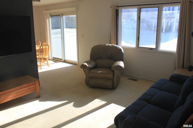 living room featuring carpet