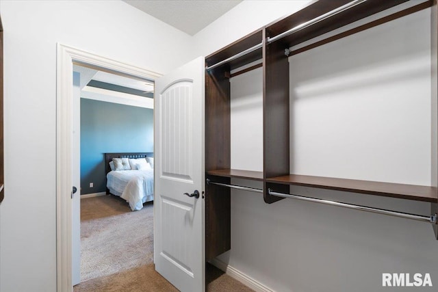 walk in closet featuring light colored carpet