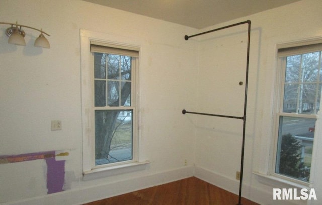 bathroom featuring a wealth of natural light and wood finished floors