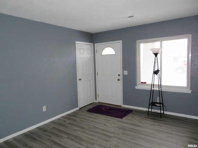 foyer entrance with dark hardwood / wood-style flooring and a wealth of natural light