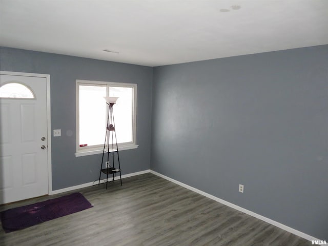 entrance foyer featuring dark wood-type flooring