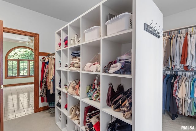 spacious closet with light colored carpet