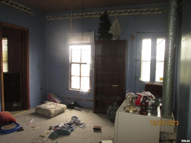 bedroom featuring multiple windows