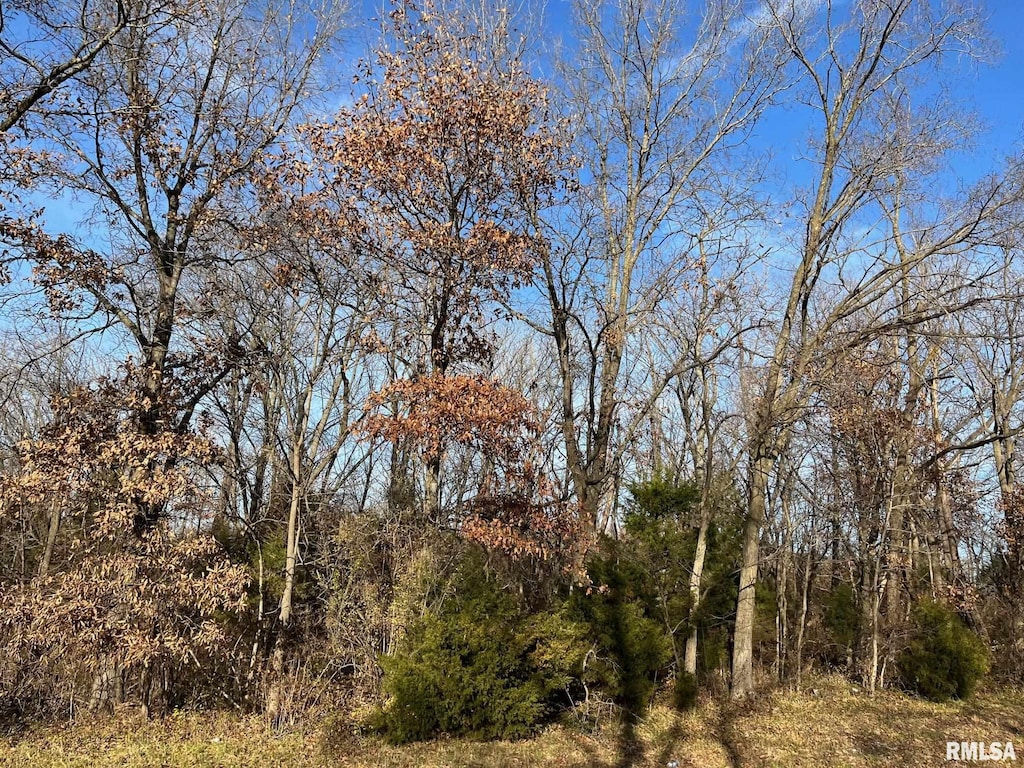 140 House Rd, Elkville, IL 62932