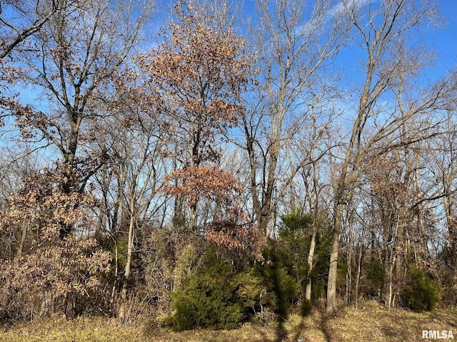 140 House Rd, Elkville, IL 62932