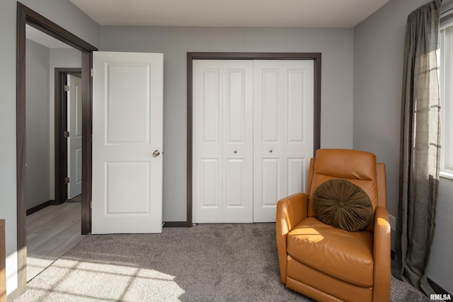 sitting room featuring carpet flooring