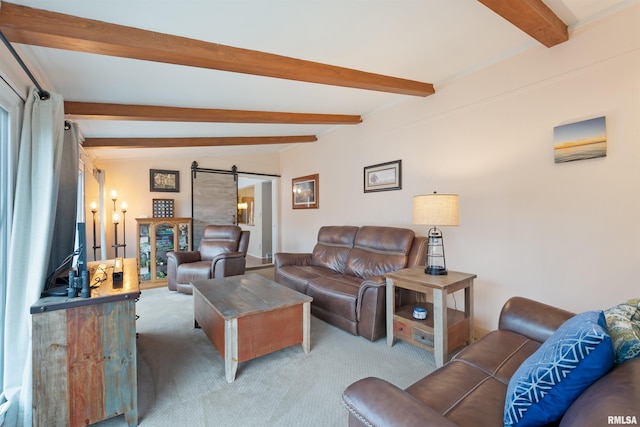 carpeted living room featuring beam ceiling and a barn door