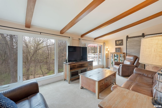 living area with a barn door, plenty of natural light, carpet flooring, and vaulted ceiling with beams