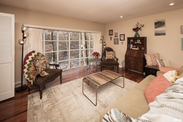 living room featuring dark hardwood / wood-style flooring