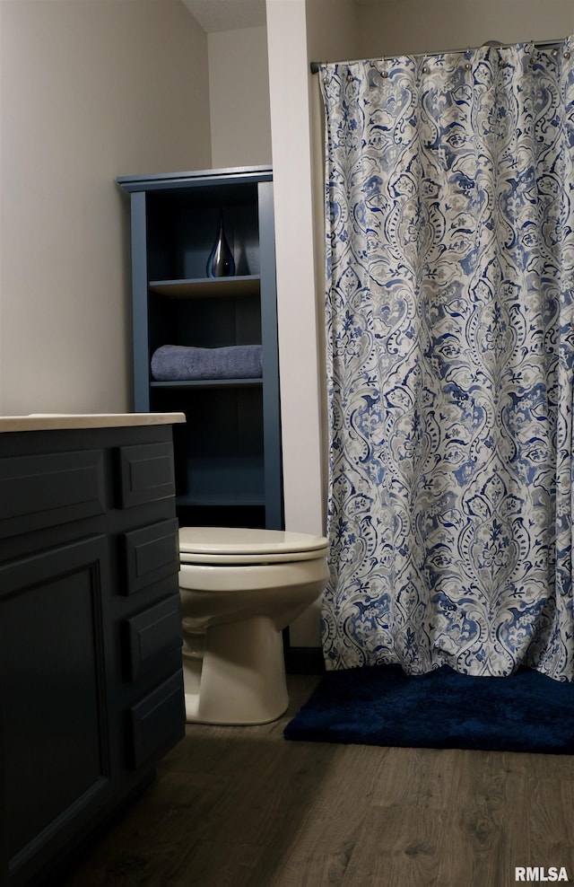 bathroom featuring vanity, hardwood / wood-style flooring, and toilet