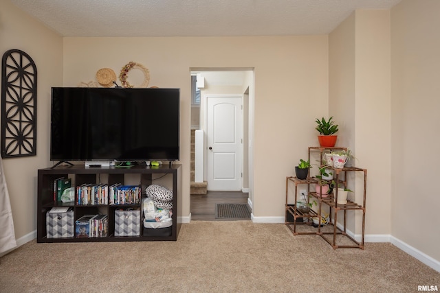 interior space featuring carpet flooring and a textured ceiling