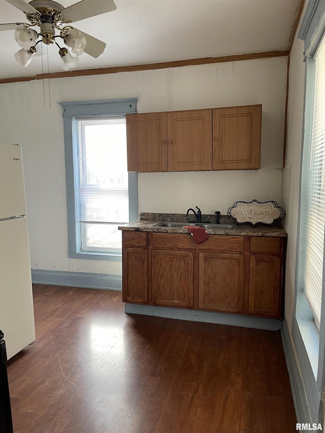 kitchen featuring dark hardwood / wood-style floors, sink, white refrigerator, and ornamental molding