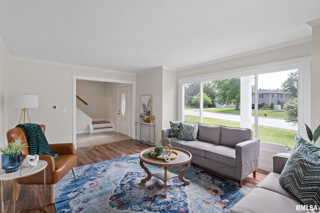 living room with wood-type flooring and ornamental molding