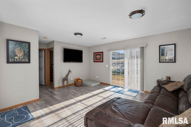 living room featuring light wood-type flooring