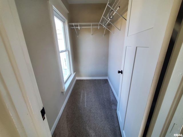 walk in closet with dark colored carpet