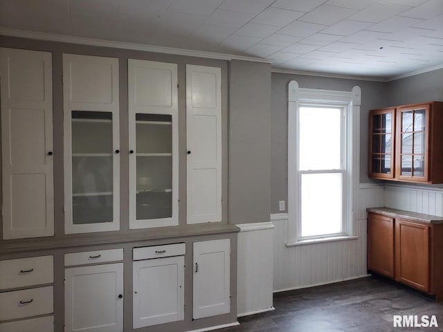 interior space featuring ornamental molding, white cabinetry, and dark hardwood / wood-style floors