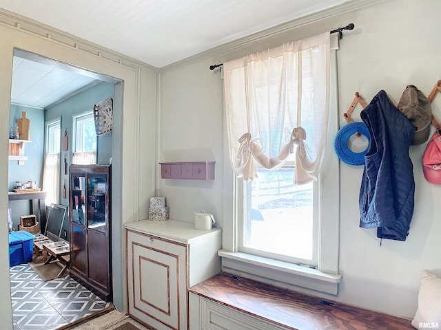 mudroom with crown molding