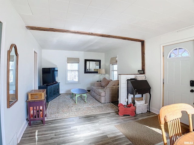 living room with hardwood / wood-style floors