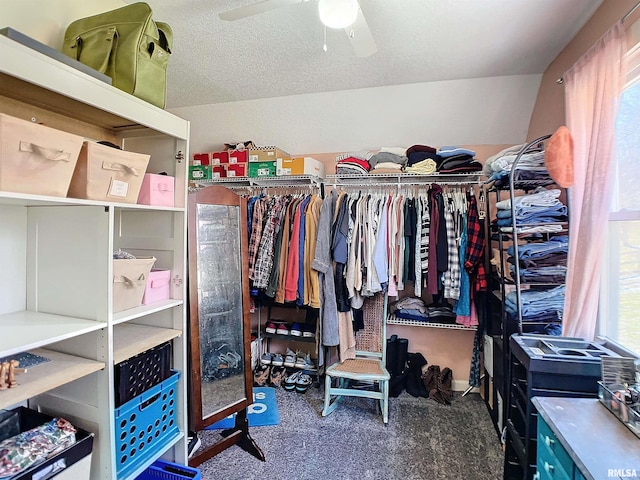 spacious closet with carpet