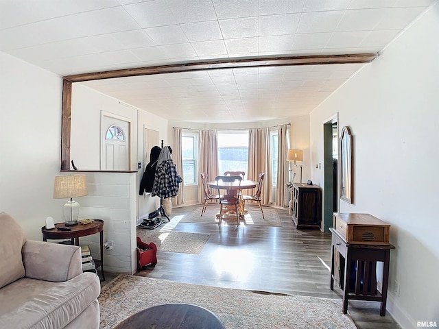 living room featuring hardwood / wood-style flooring