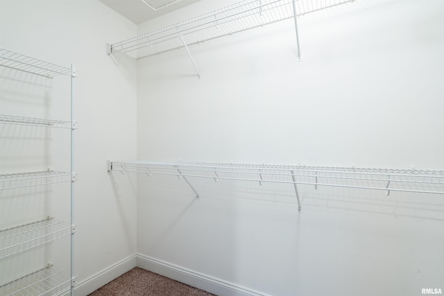 walk in closet featuring carpet flooring